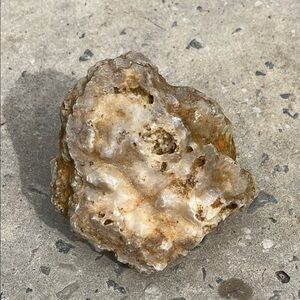 Natural Stone Geode Quartz Chert in Sandstone Picked From Remote TN Mountains